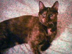 Esmeralda