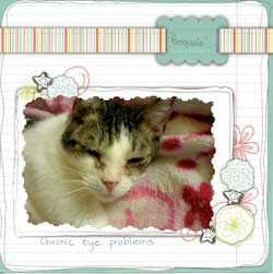 Pasquale
